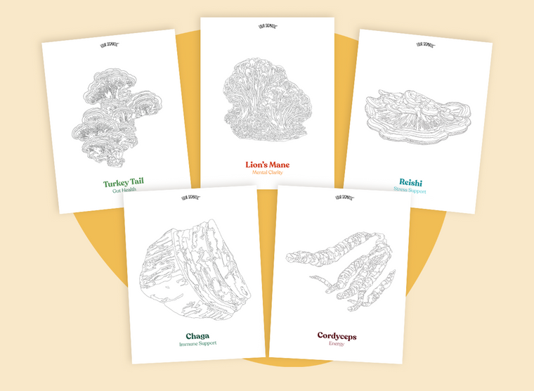 FREE Downloadable Coloring Pages