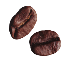 coffee-beans-background-free-png.png