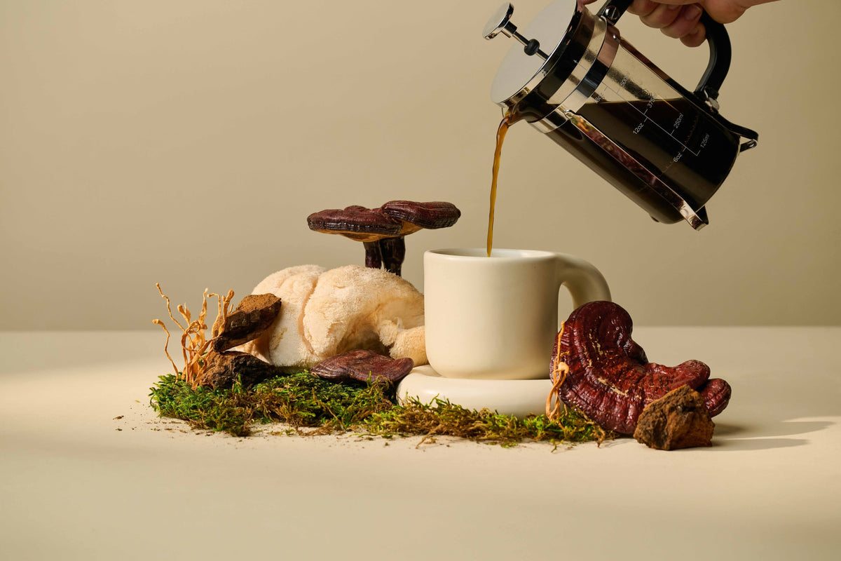 What are the benefits of Mushroom Coffee?