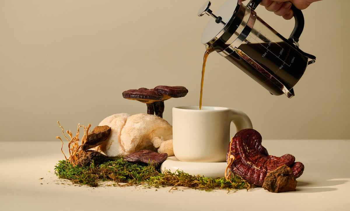 What You Heard About Mushroom Coffee Isn’t True
