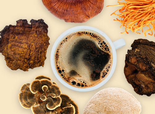Is Mushroom Coffee Legit?