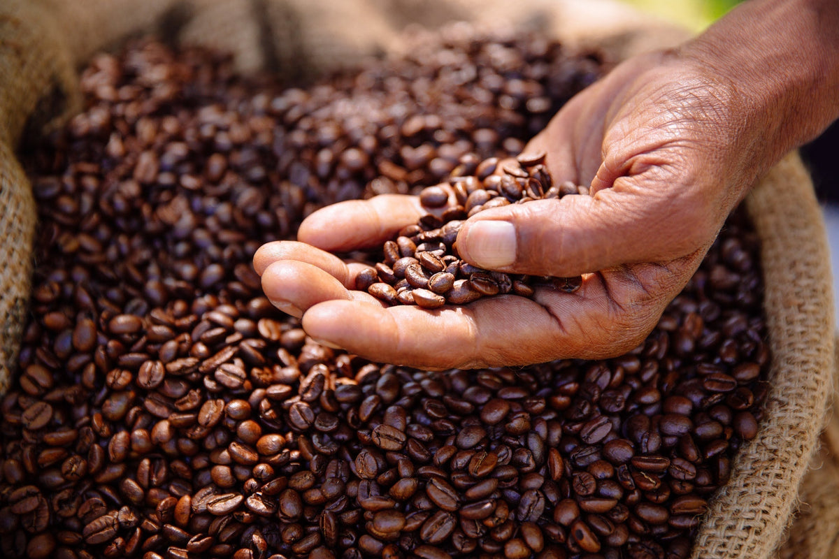 Are There Heavy Metals in Your Coffee?