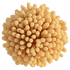 Bacillus .mj.runVSlbwilaeRc_mushroom._background_col_504b3d4f-e2ca-456f-9481-28ce4b8357f9_0 copy.webp