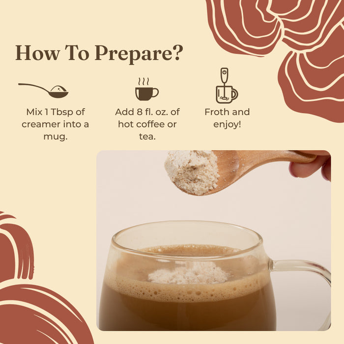 Focus Creamer – Hazelnut