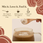 Focus Creamer – Hazelnut