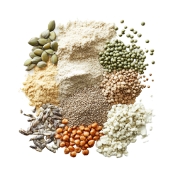 Organic Plant-based Protein Blend