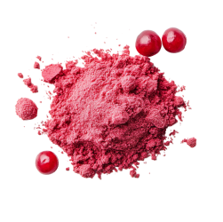 Organic Acerola Cherry Powder