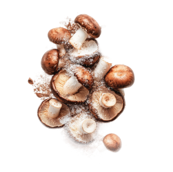 Organic agaricus fruiting body extract