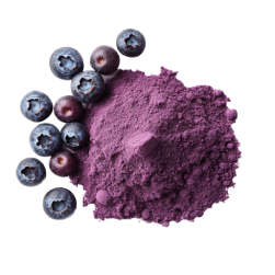 Organic blueberry juice powder