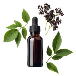 Organic elderberry extract