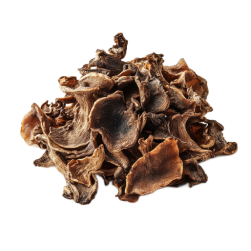 Organic maitake fruiting body extract