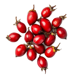 Organic rose hips