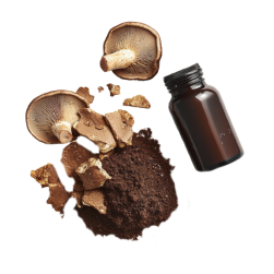 Organic shiitake fruiting body extract