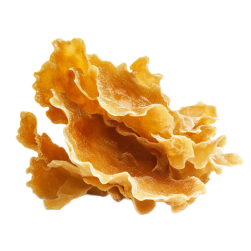 Organic tremella fruiting body extract