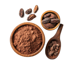 Organic unrefined cacao powder