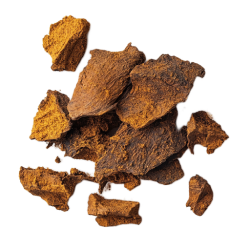 Organic wildcrafted chaga extract