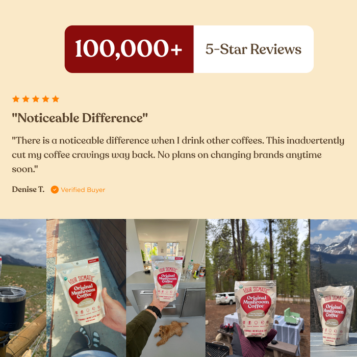 The Original Mushroom Coffee Starter Kit