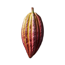 Real organic cacao