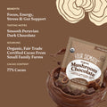 Mushroom Chocolate (10 Bars)