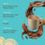 Calm Cacao, Packets