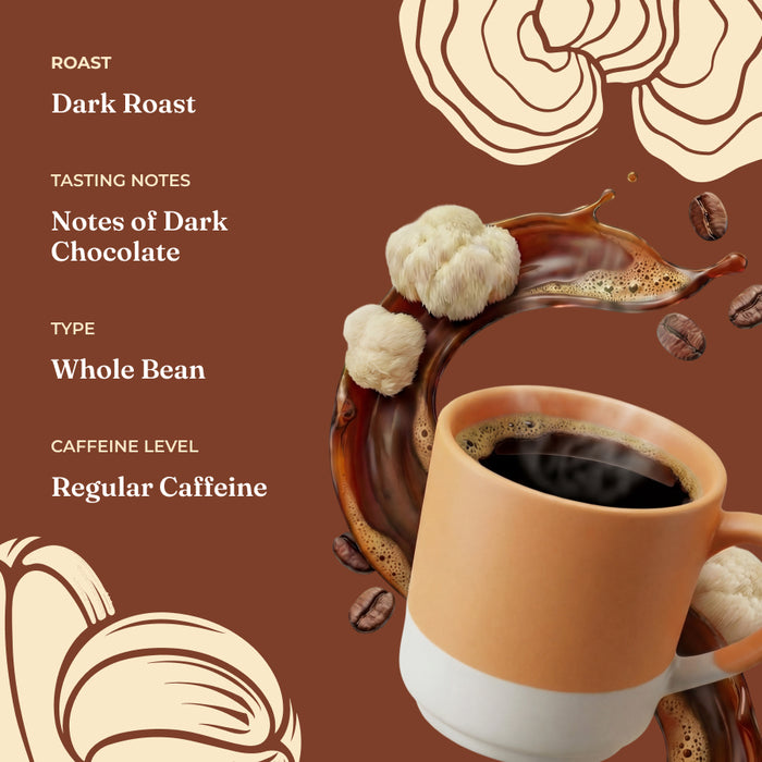 Focus Whole Bean Coffee