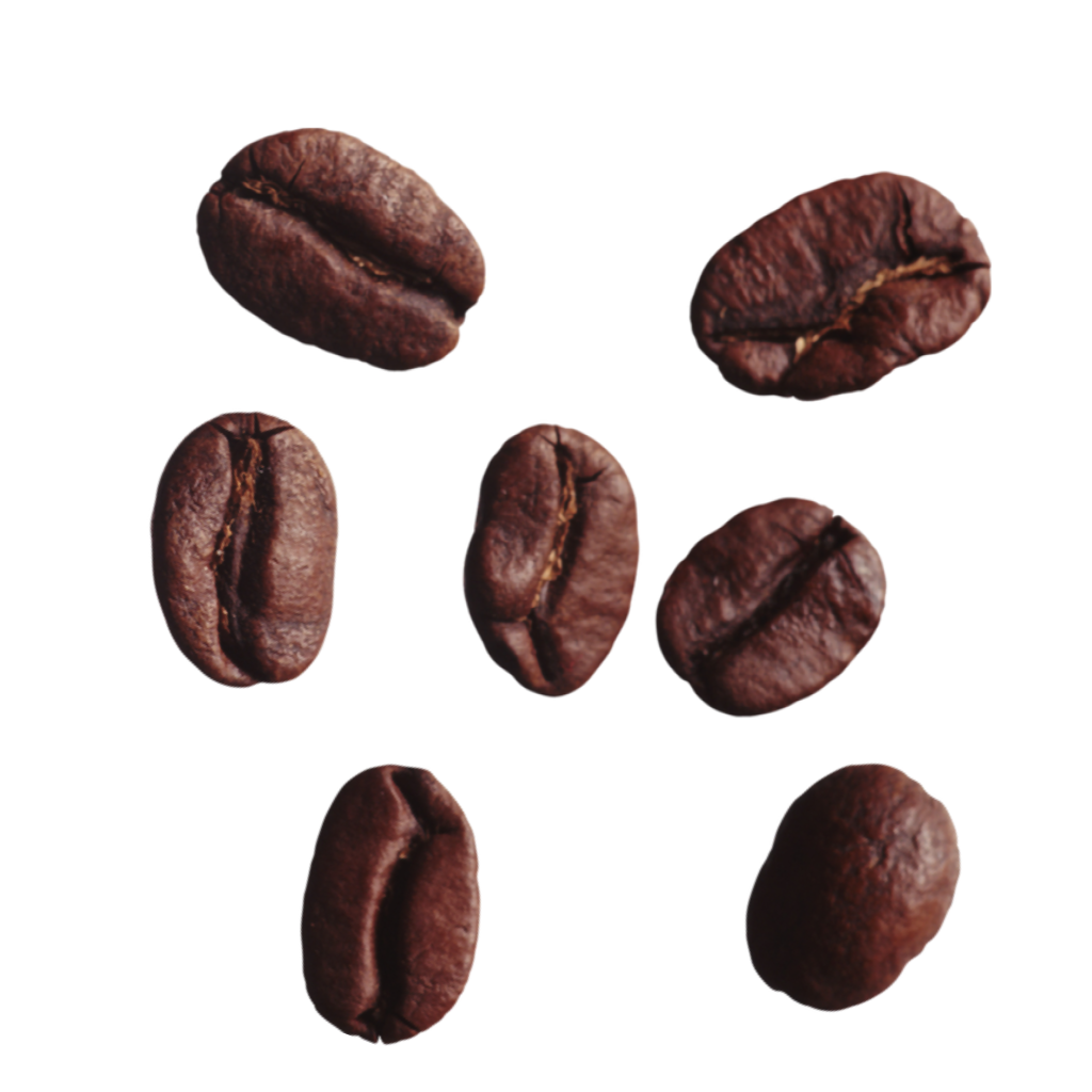 Organic medium roast arabica coffee