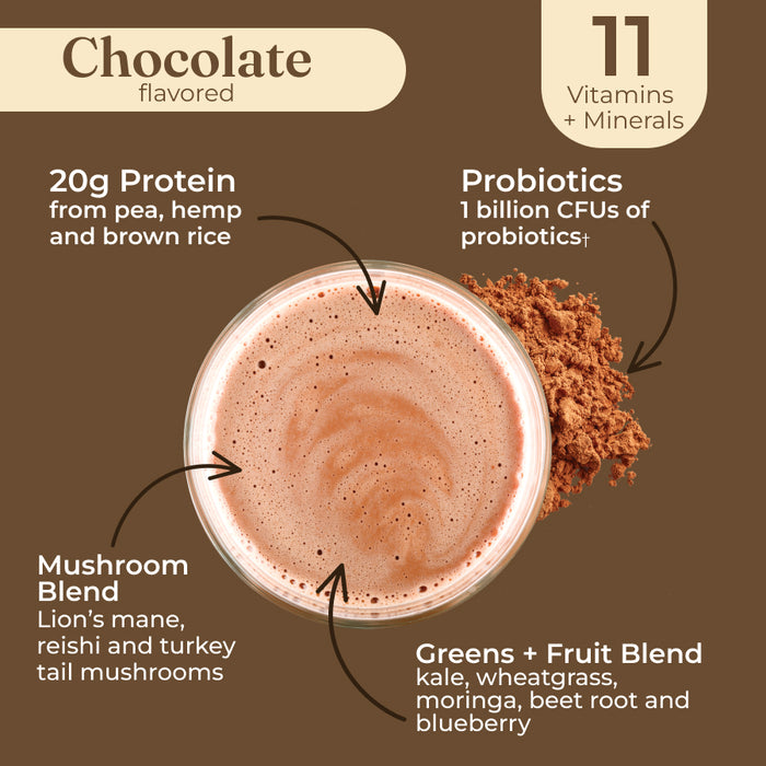 Plant-Based Protein – Chocolate