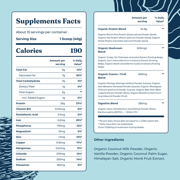 Plant-Based Protein – Vanilla