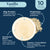 Plant-Based Protein – Vanilla
