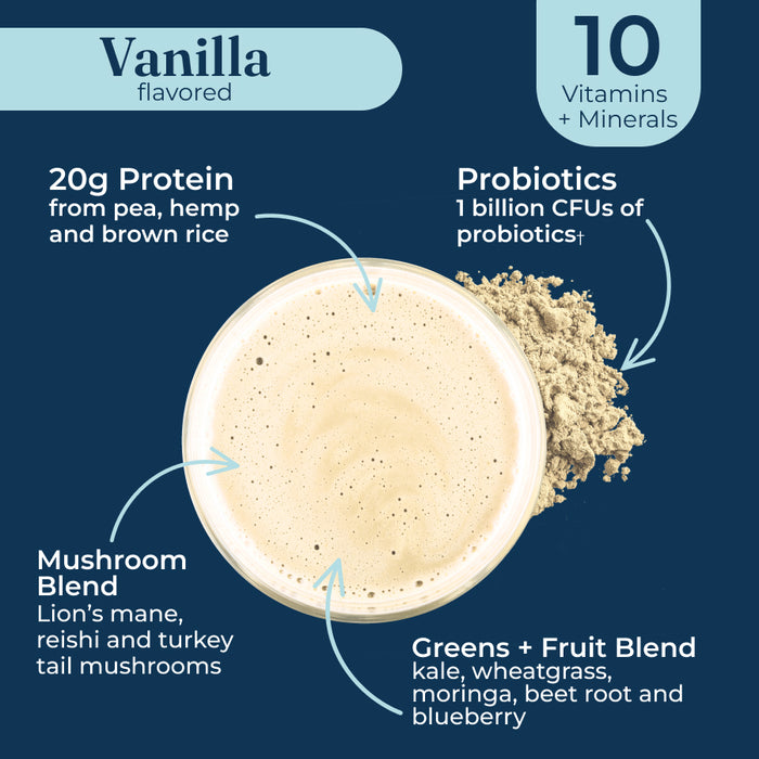 Plant-Based Protein – Vanilla